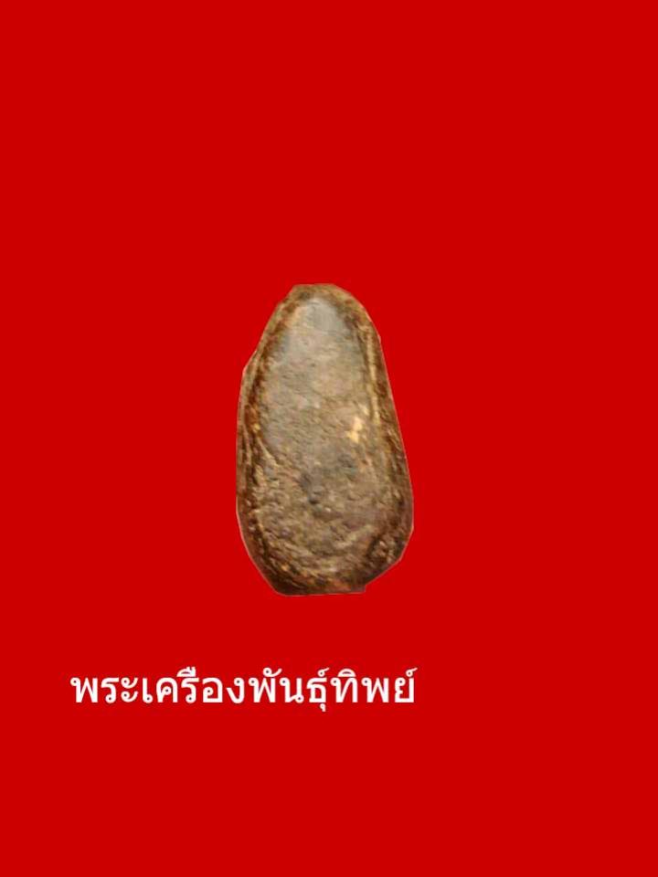 พระภูธร